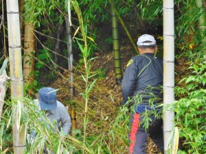 170510竹林整備作業風景