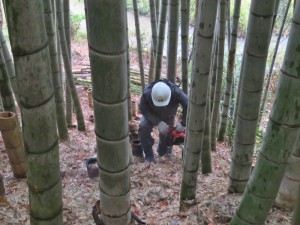 190109チェンソー