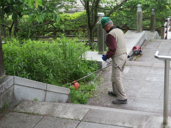 240508-3草刈り機作業2