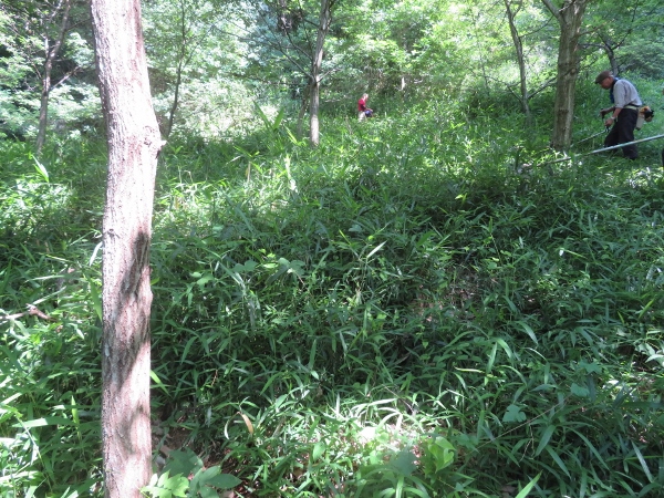 240612-3作業前の状態