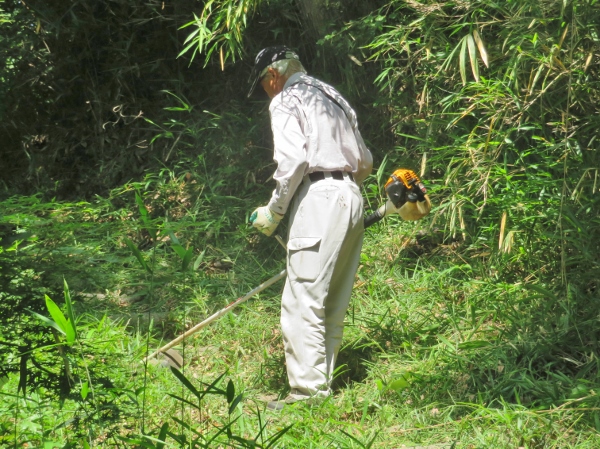 240612-4草刈り機作業9