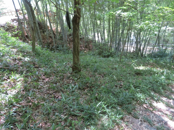 240612-6作業後の状態