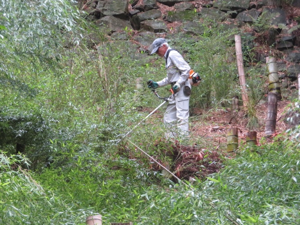 240624-3草刈り機作業5