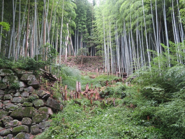 240624-6作業後奥石垣3