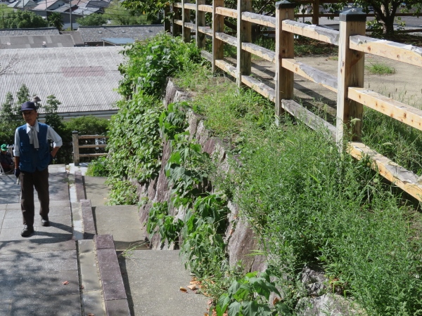 240911-2作業前石垣1