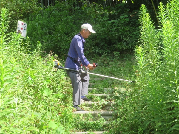 240911-3草刈り機作業3