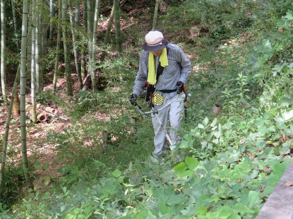 240911-3草刈り機作業5