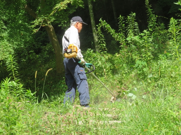 240911-3草刈り機作業6