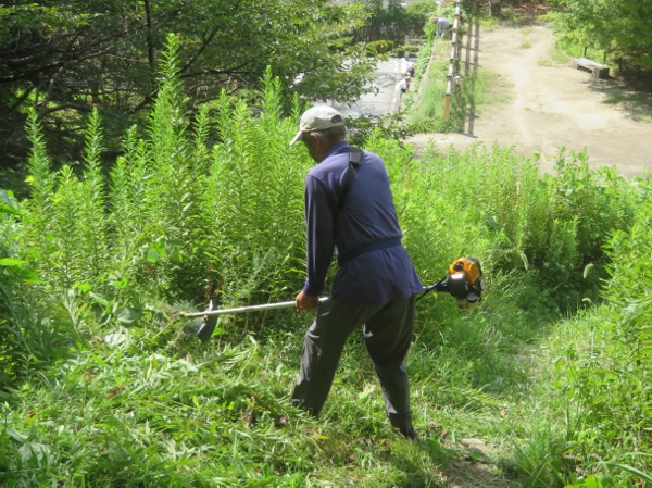 240911-3草刈り機作業7