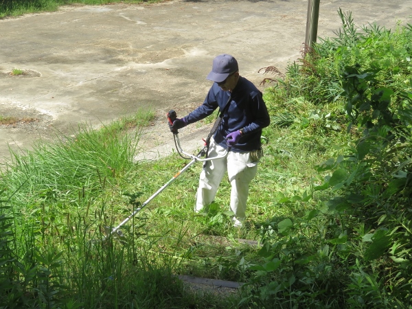 240911-3草刈り機作業8