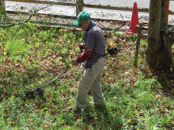 240911-3草刈り機作業9