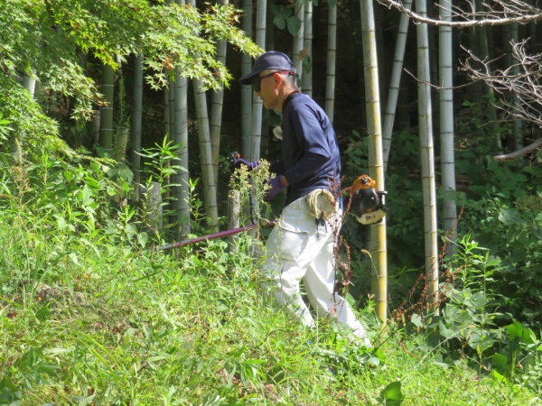 240923-2草刈り機6