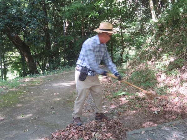 240923-4枯葉掃除1