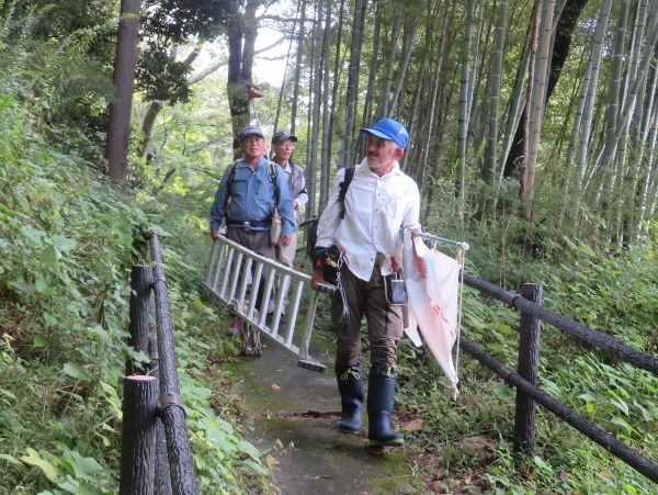 241009-1梯子運搬3