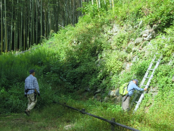 241009-2作業前石垣2