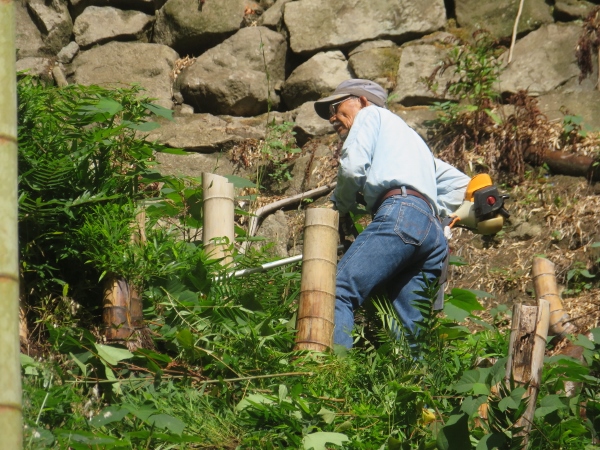 241009-4草刈り機6