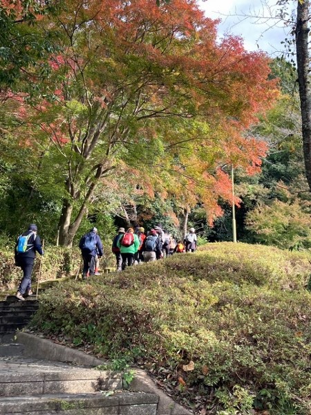 241123-2ハイキング風景