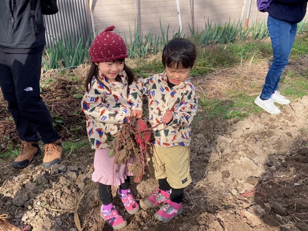 241123-4芋掘ったぞー