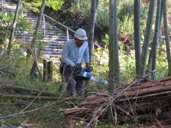 241125-22チェンソー作業2