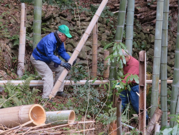 250312-3作業風景10