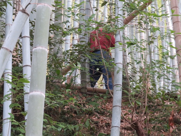 250324-3作業風景12