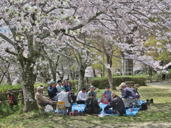 250409-4花見2