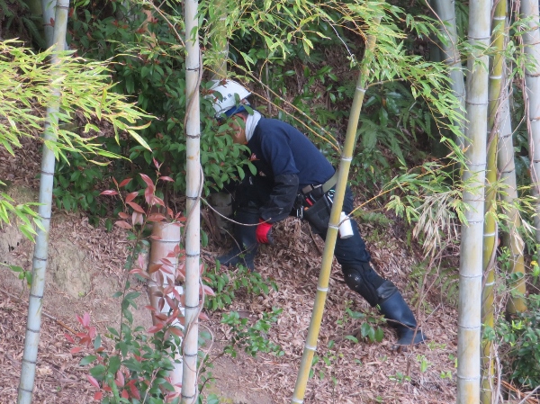 250428-3作業風景8