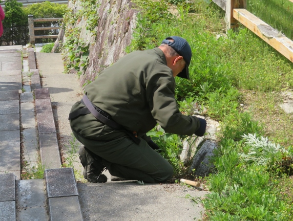 250514-4階段作業1