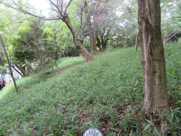 250526-3作業前作業前