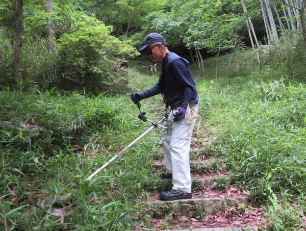 250526-4草刈り機作業6