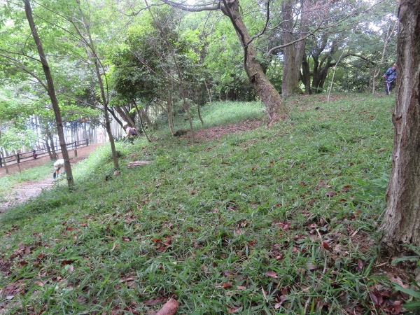 250526-8作業後風景