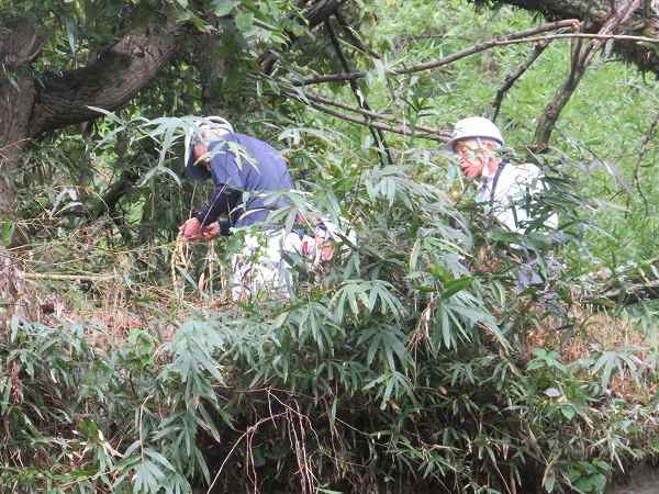 251027-4高石垣上部3