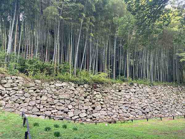 251027-5石垣作業後6