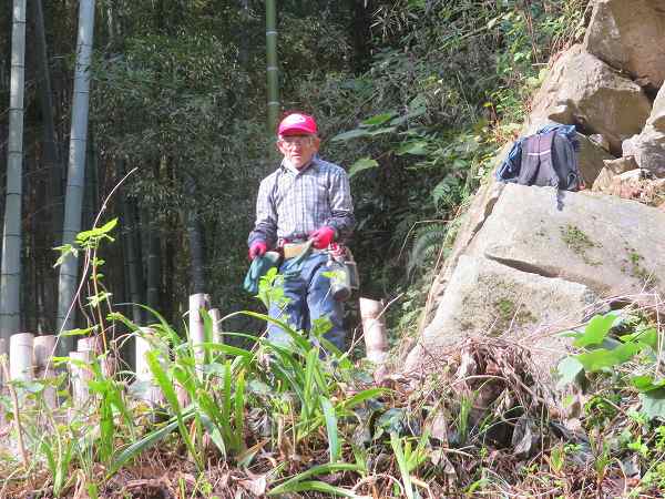 251027-３高石垣3