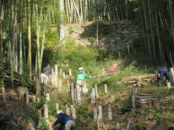 251210-７新竹カット2